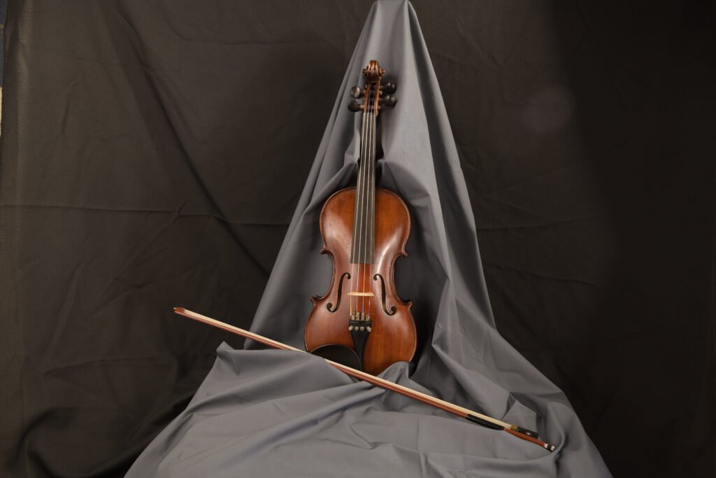 violinsale001