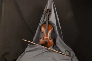 violinsale001